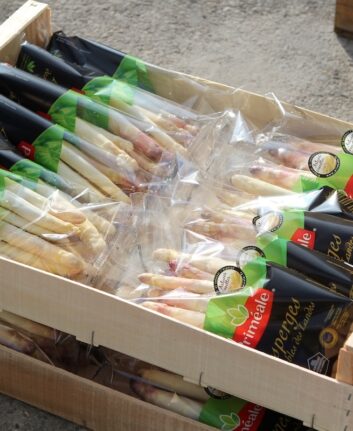 Asperges des sables des landes en cagettes