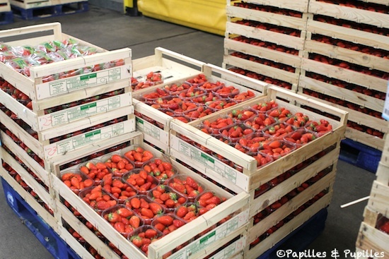 Fraises dans la chambre froide