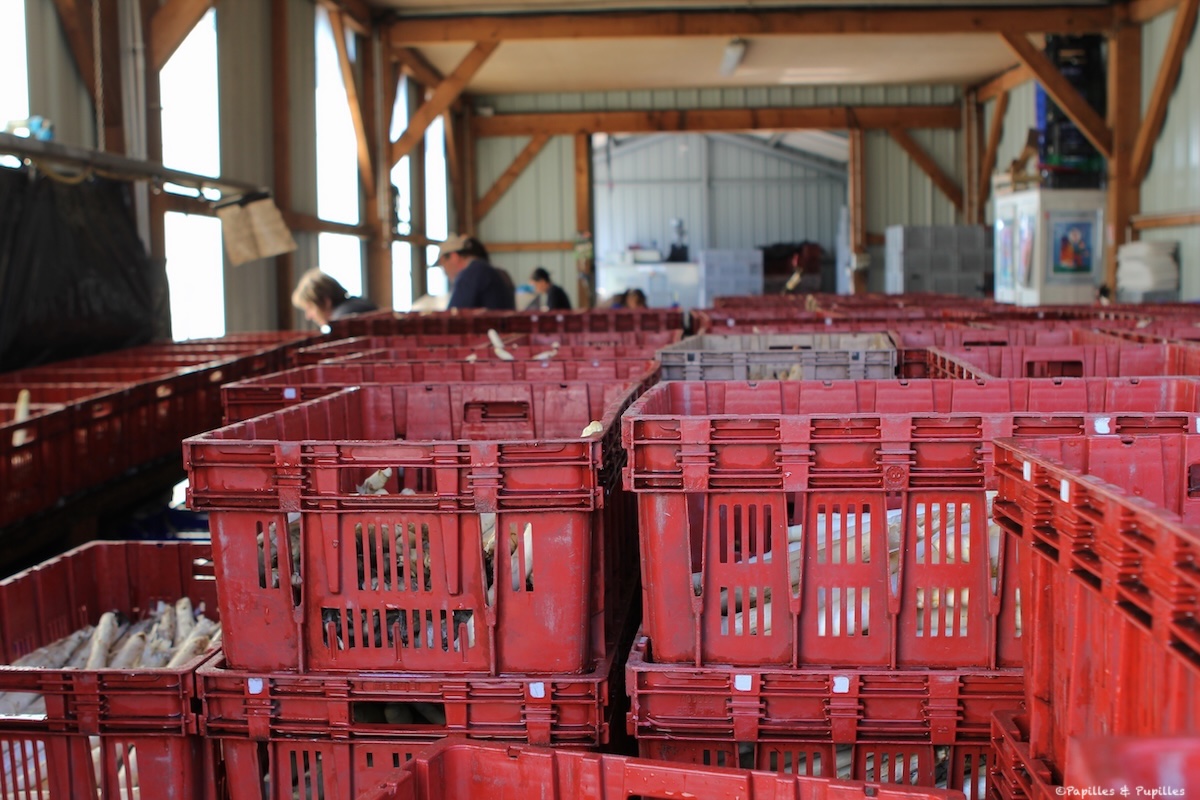 Station chez Madame Margariti