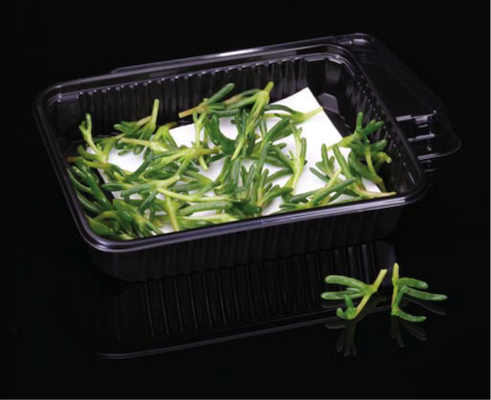 Salty fingers ©Koppert Cress