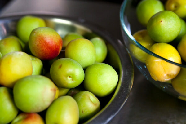 Ume ©Sarah CC BY-NC-ND 2.0