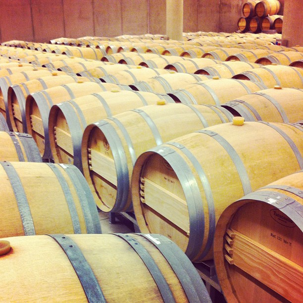 Chai - région de l'Empordà