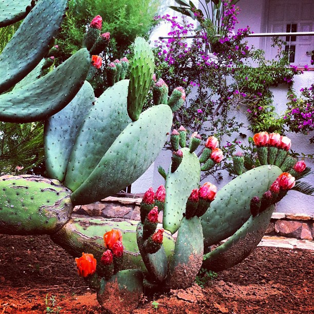 Impossible de s'assoir