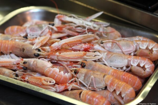 Langoustines