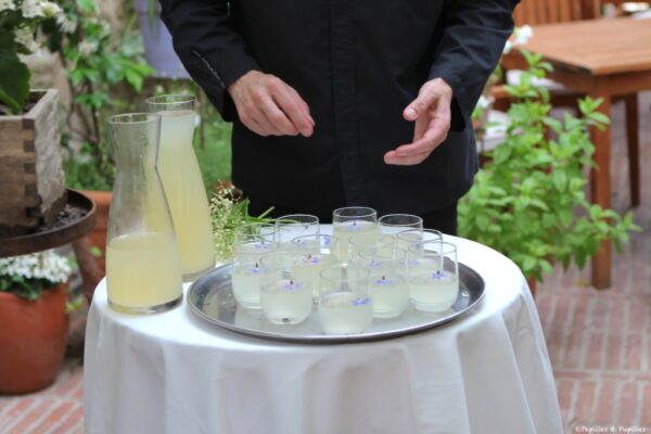 Boisson aux fleurs de bourrache