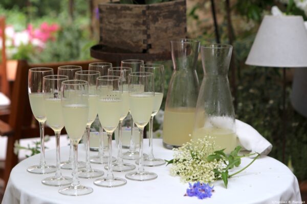 Boisson aux fleurs de sureau