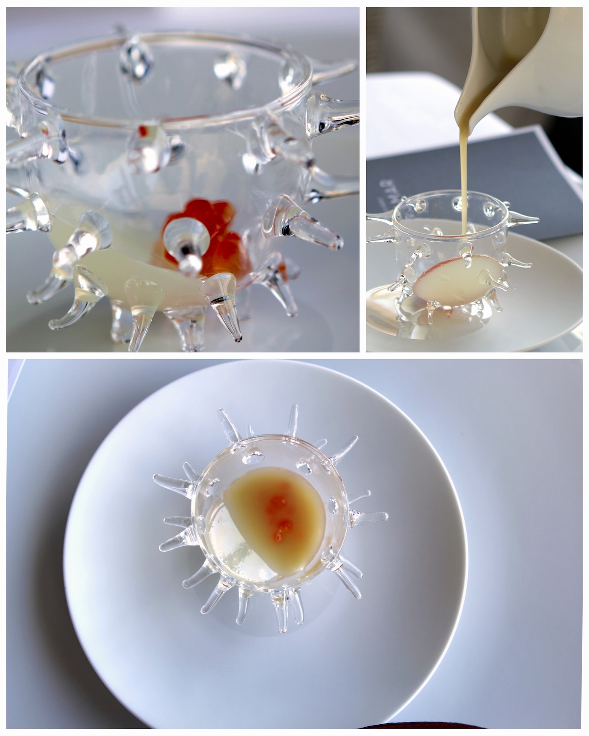 Citron, miso et œuf