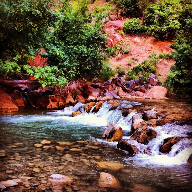 Et au milieu du canyon coule une rivière #Zion