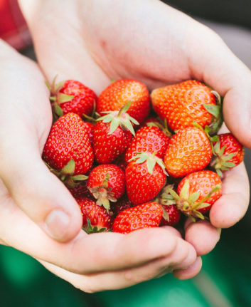 Fraises ©majagal shutterstock