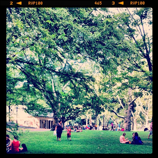 Central Park #newyork