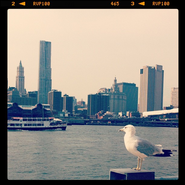 Manhattan, vu de Brooklyn #newyork