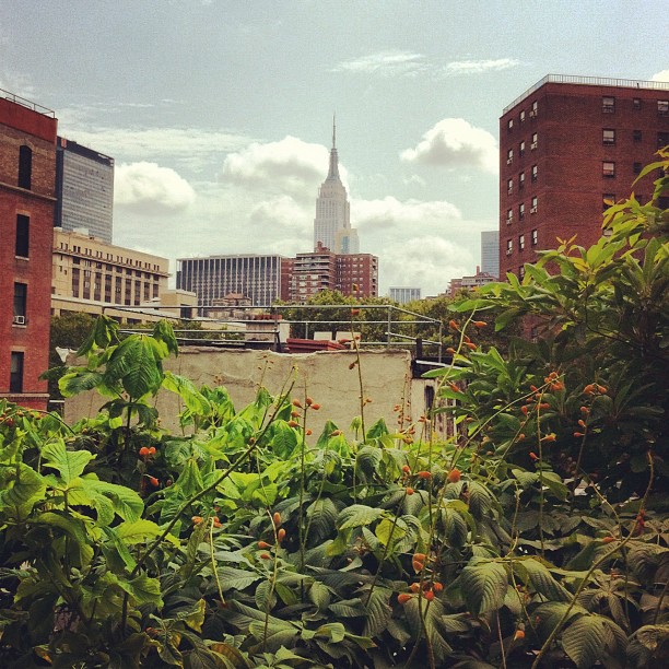 L'#empirestatebuilding vu de la #HighLine #newyork
