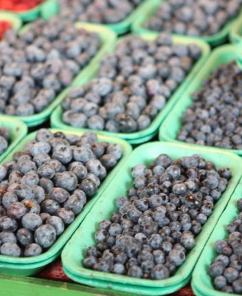 Bleuets du Québec