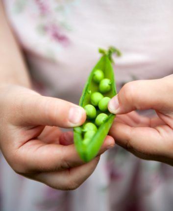 Petits pois ©Tetiana Matviichuk shutterstock