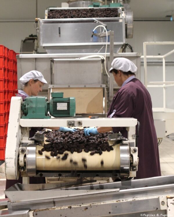 Contrôle des pruneaux