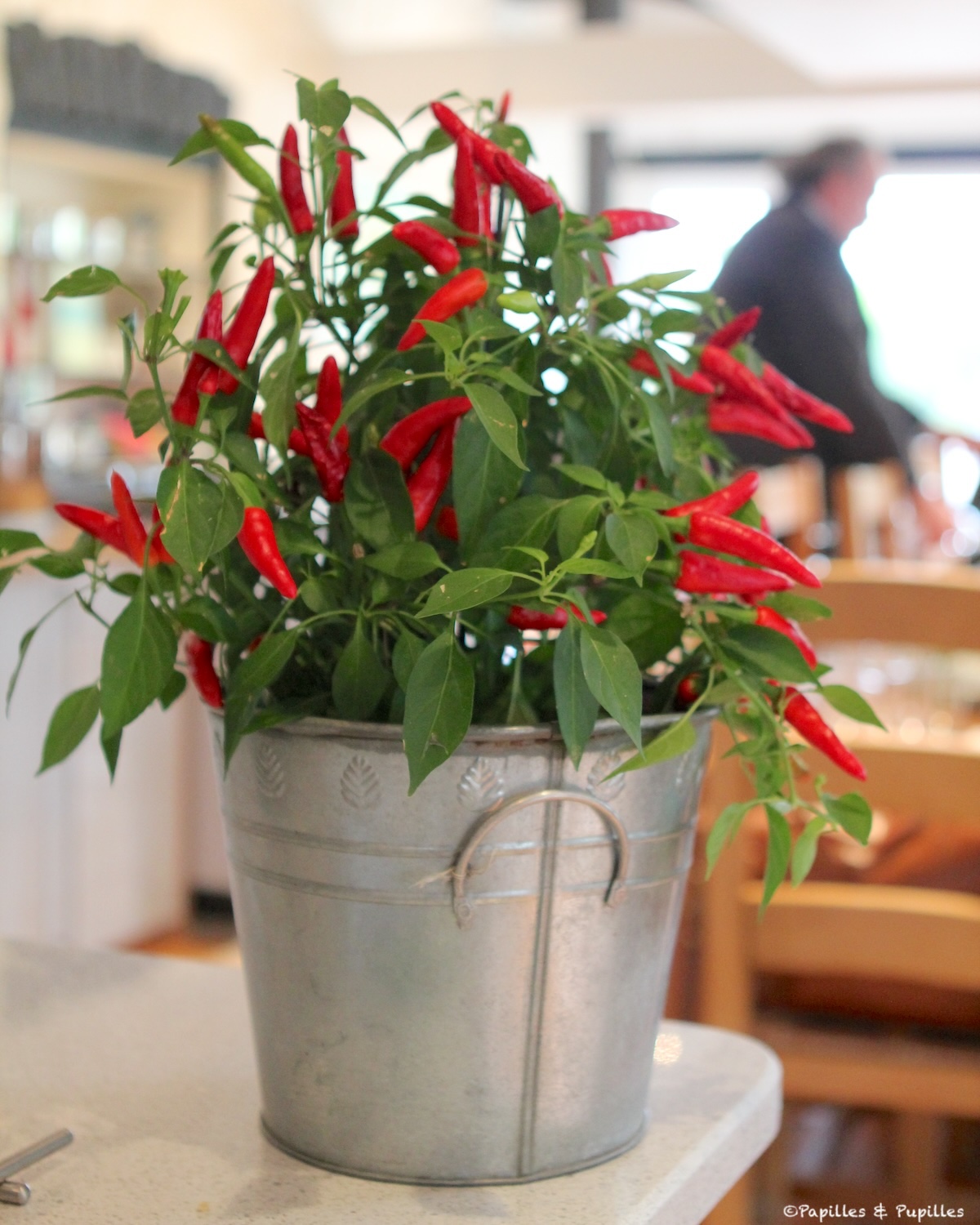Piments
