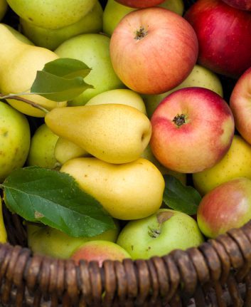 Pommes et poires ©Arina_C shutterstock