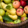 Pommes et poires ©Arina_C shutterstock