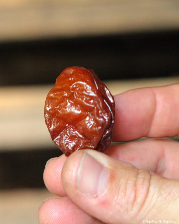 Pruneau à la sortie du four