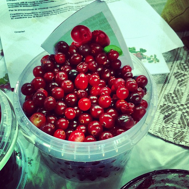 Cranberries sauvages de Biélorussie #slowfood