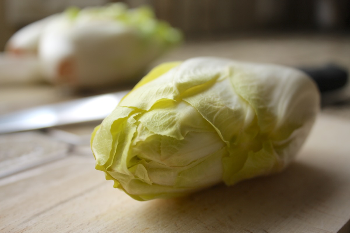 Endives ©Maarten Van Damme CC BY 2.0