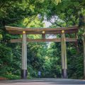 Entrée du temple Meiji-jingu Tokyo © Bule Sky Studio. shutterstock