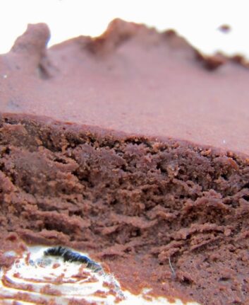 Fondant au chocolat sans lait sans gluten ©Eggs & Mouillettes