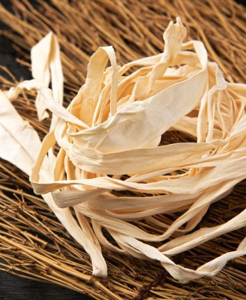 Gourde (kanpyo) ©sasaken shutterstock