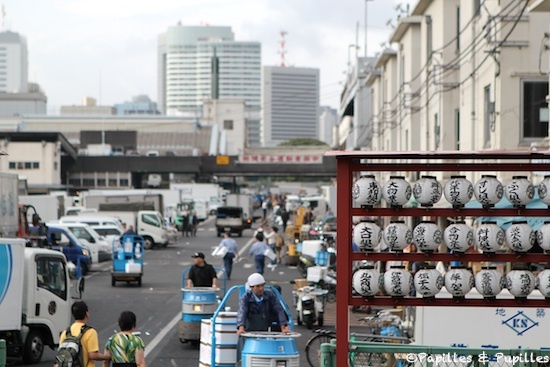 Marché aux poissons de Tsukiji - Tokyo
