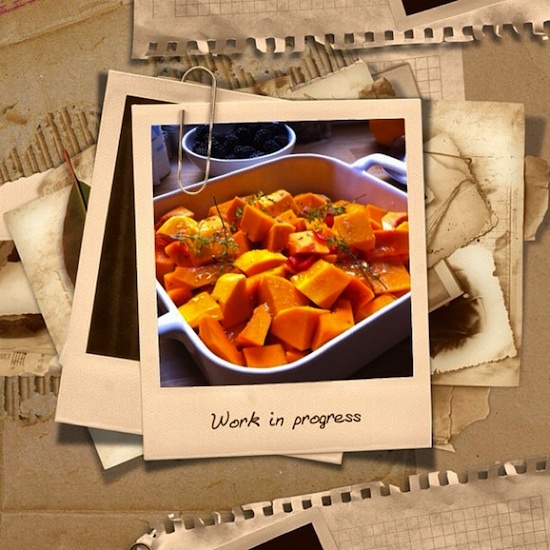 Work in progress - Butternut Work in progress - Butternut