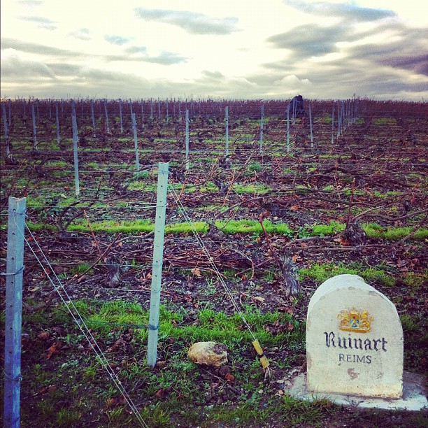 En champagne 1 hectare vaut 1 million d'euros