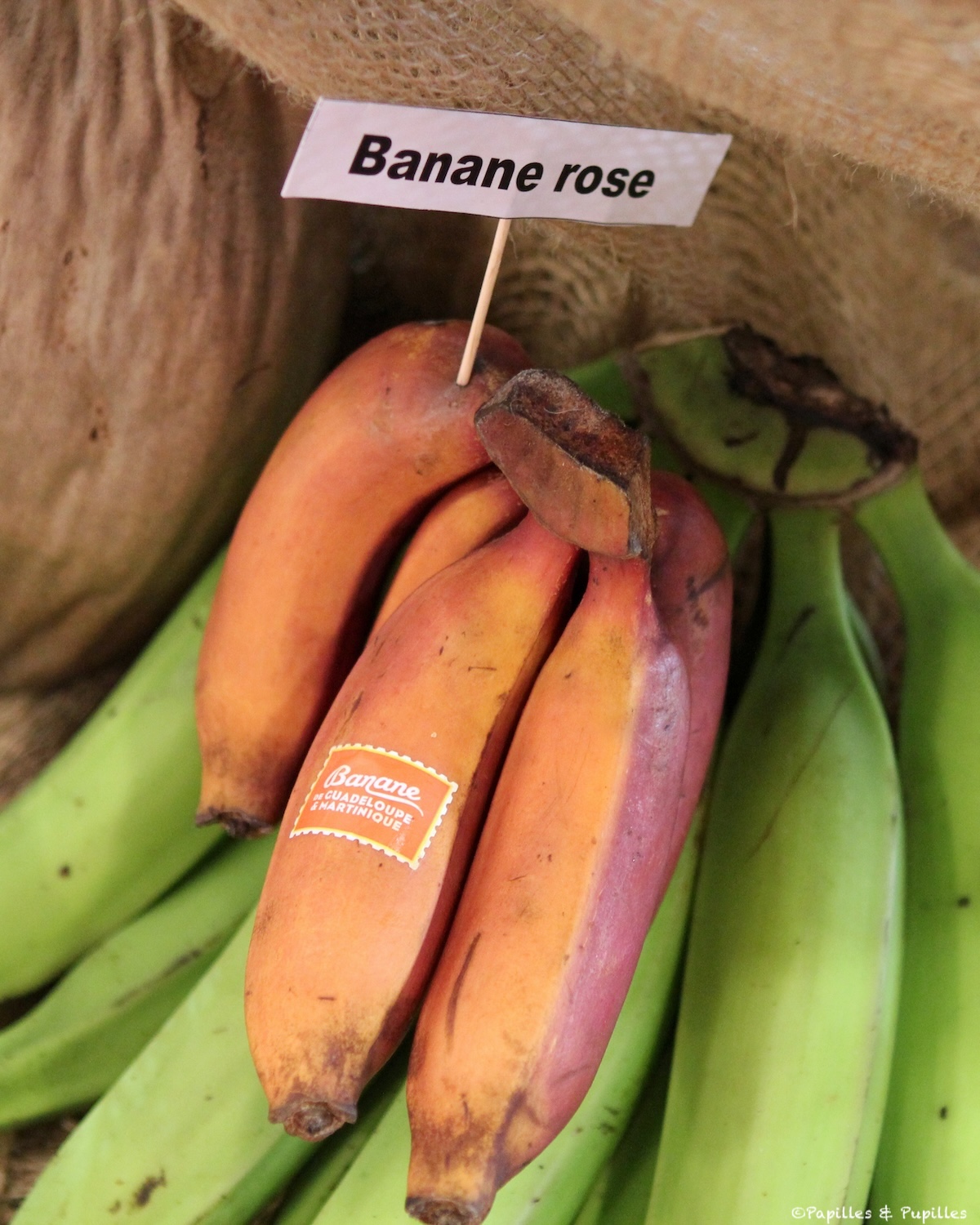 Bananes roses