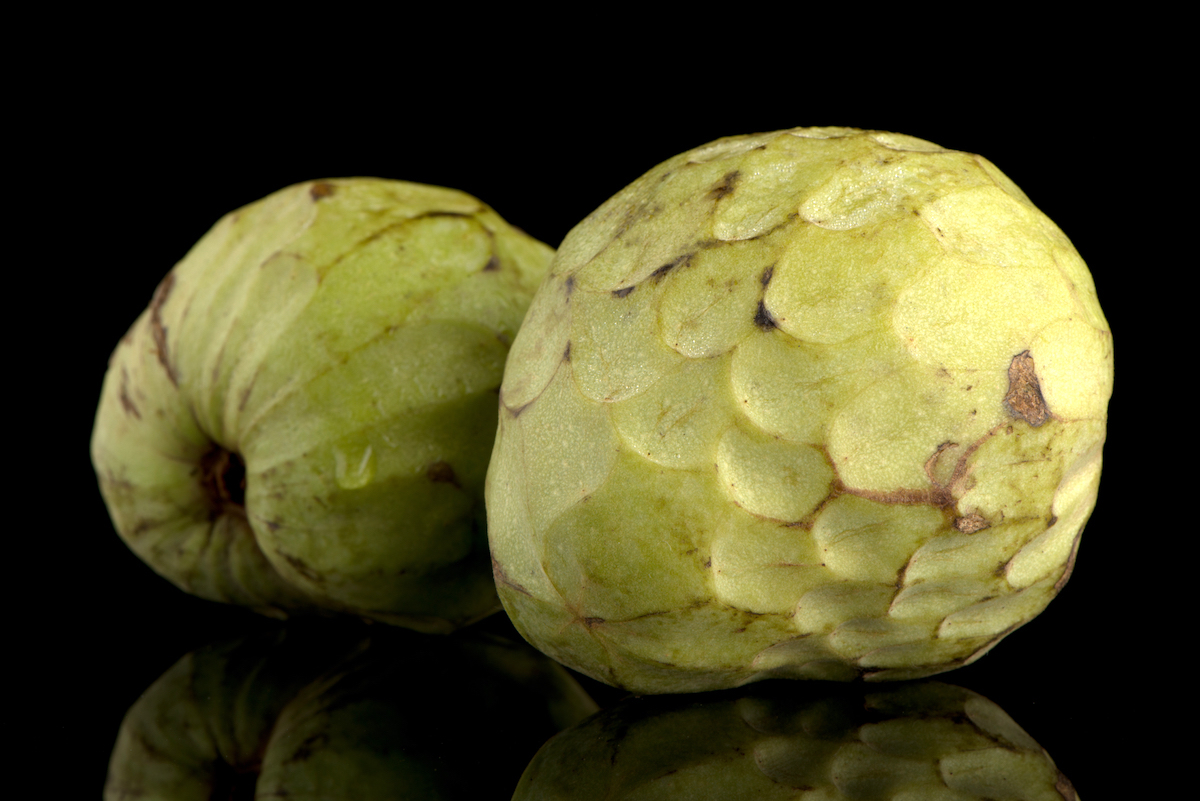 Cachiman © homydesign shutterstock