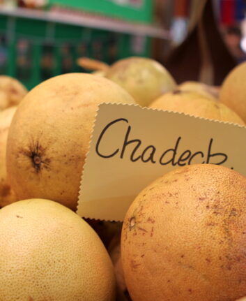 Chadecks