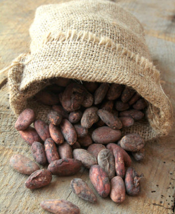 Fèves de cacao ©page frederique shutterstock