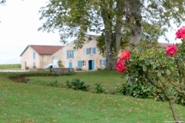 Chai de vinification