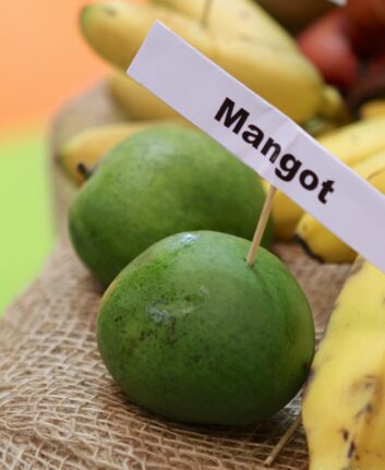 Mangot