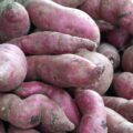 Patates douces
