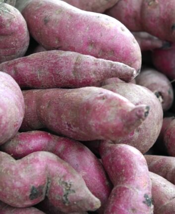 Patates douces
