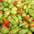 Piments végétariens
