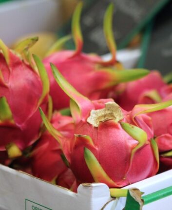Pitaya