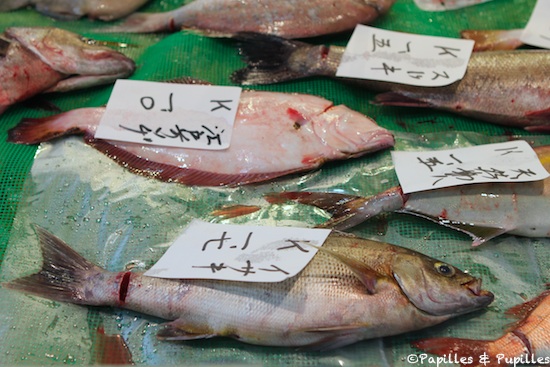 Celui qui est légèrement rouge est un Karei : Limande, sorte de Turbot. En bas se trouve un Isaki, un poisson blanc qui ressemble au bar et que l’on déguste grillé au sel. En haut à droite, un Suzuki (bar)