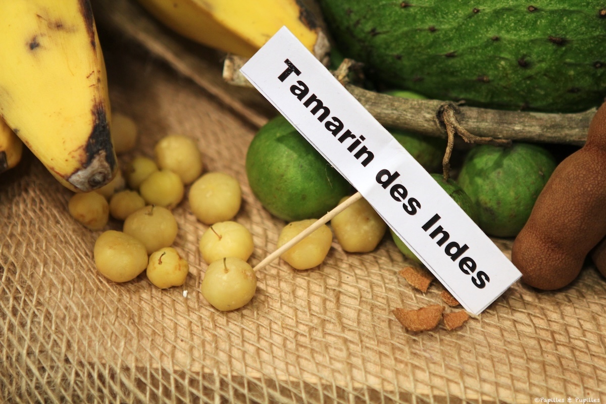 Fruit de vavangue ou tamarin des Indes