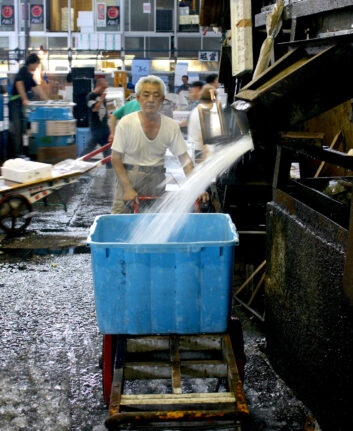Tsukiji ©Baptiste Michaud CC BY-NC 2.0