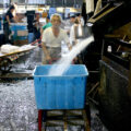 Tsukiji ©Baptiste Michaud CC BY-NC 2.0