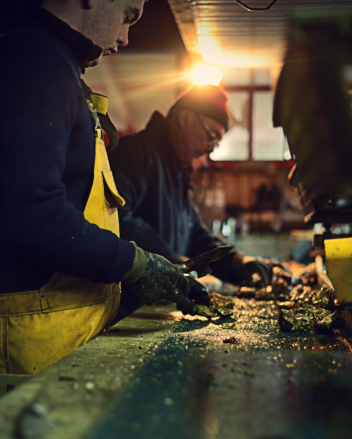 Calibrage des huîtres au Routioutiou