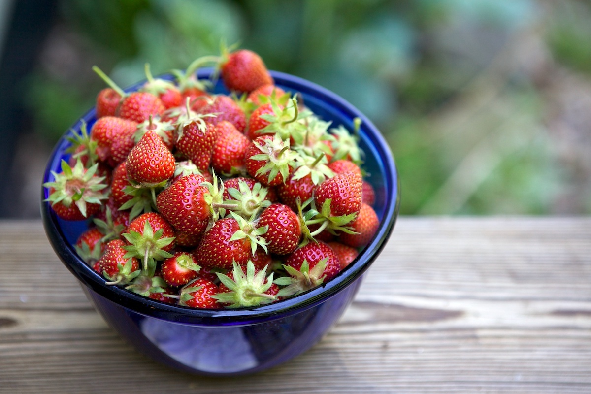 Fraises ©Susy Morris CC BY-NC 2.0