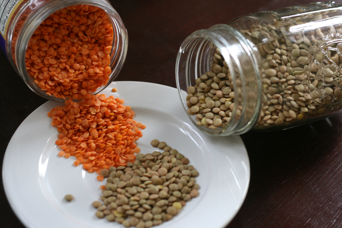 Lentilles corail et lentilles blondes présentées côte à côte
