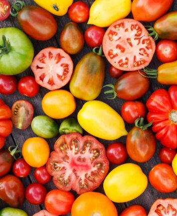 Tomates différentes variétés ©Shebeko shutterstock