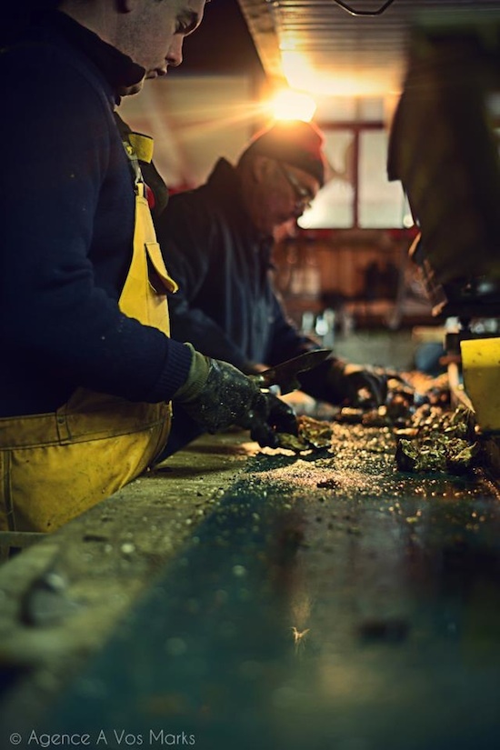 Calibrage des huîtres - Routioutiou - Gujan Mestras ©AVosMarks